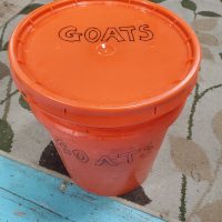 Orange 5 gallon bucket of kitchen waste